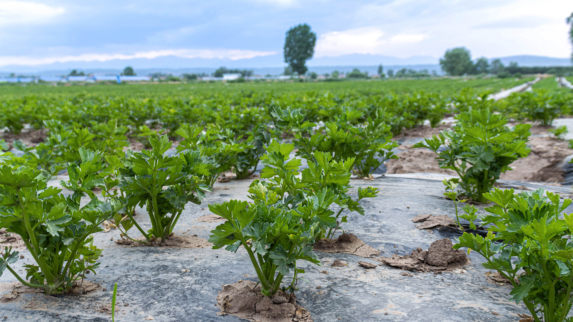 基地(dì)實拍(pāi)